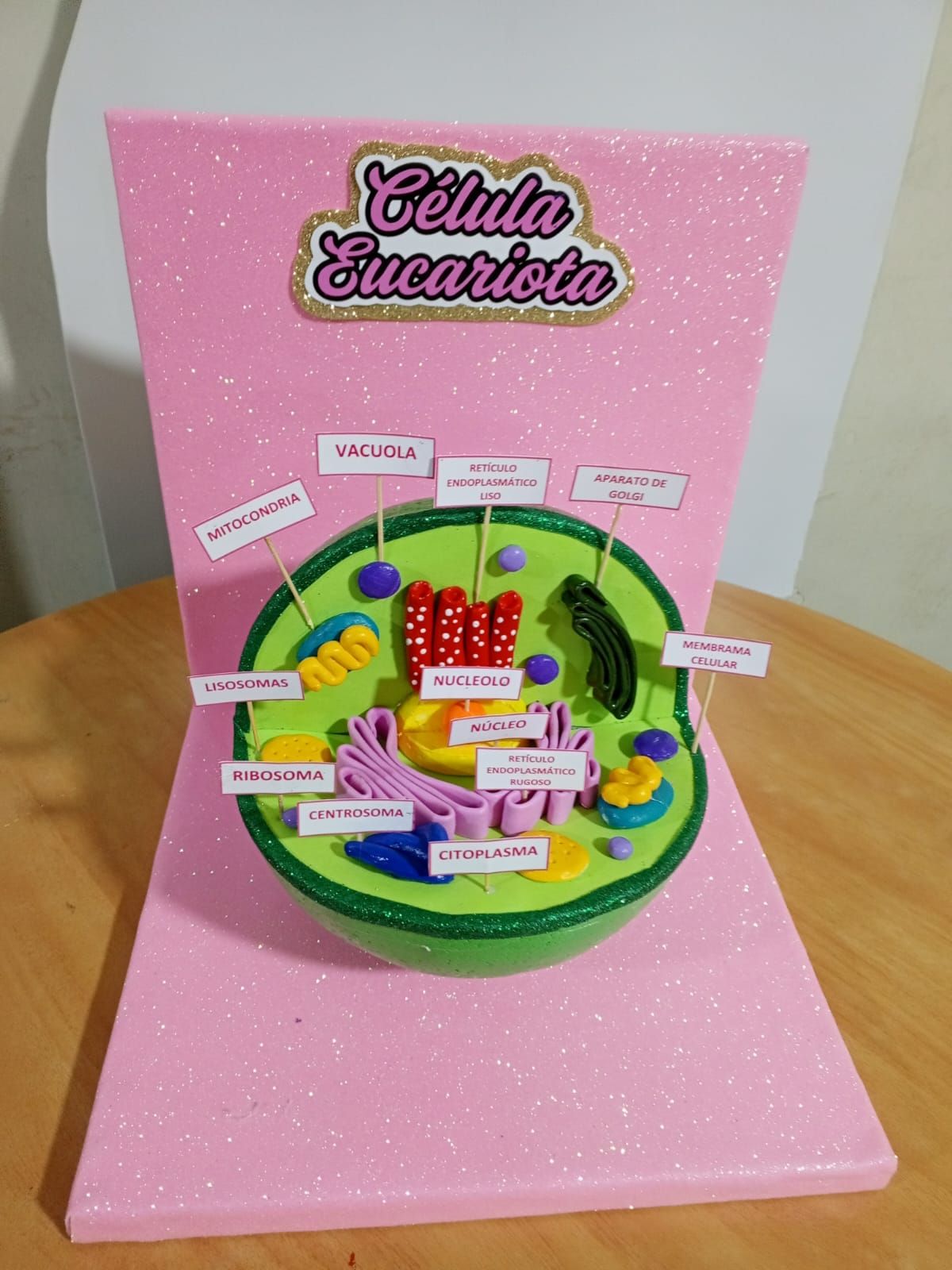 Maqueta de la célula eucariota con organelos identificados